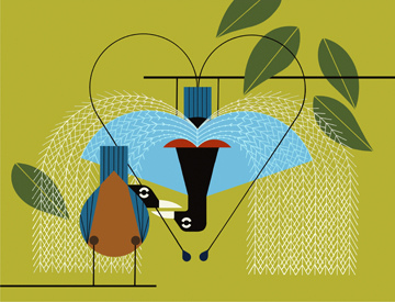 Charley Harper Prints | Today's Specials | Free Delivery On Purchases over $150.00