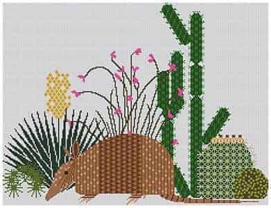 Armadillo and Cactus