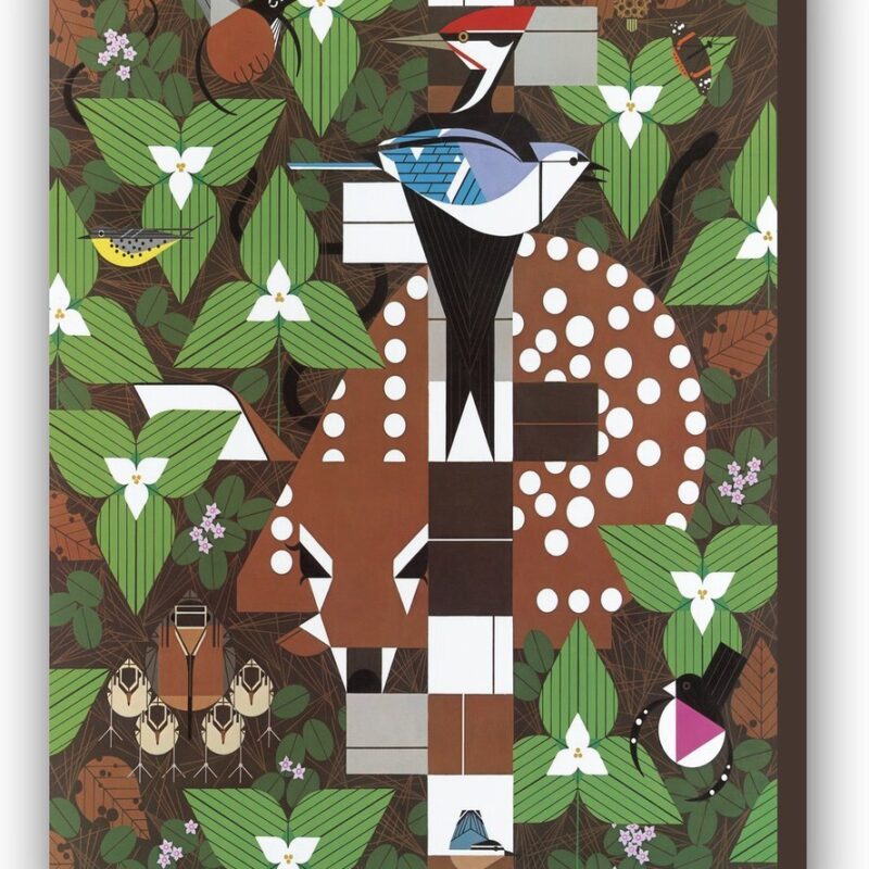 Michigan Audubon wall mural