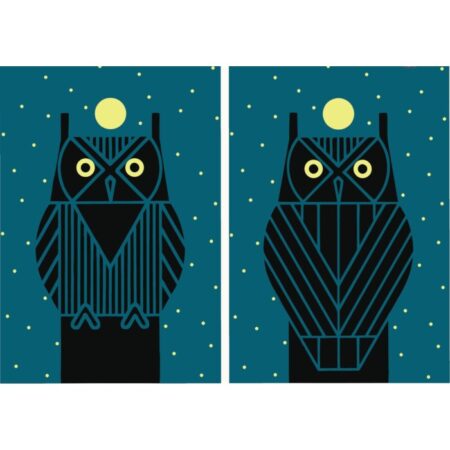 Omniscient Owl