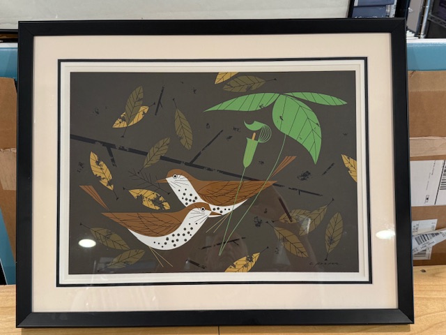 Ford Times Wood Thrush_signed & framed (New)