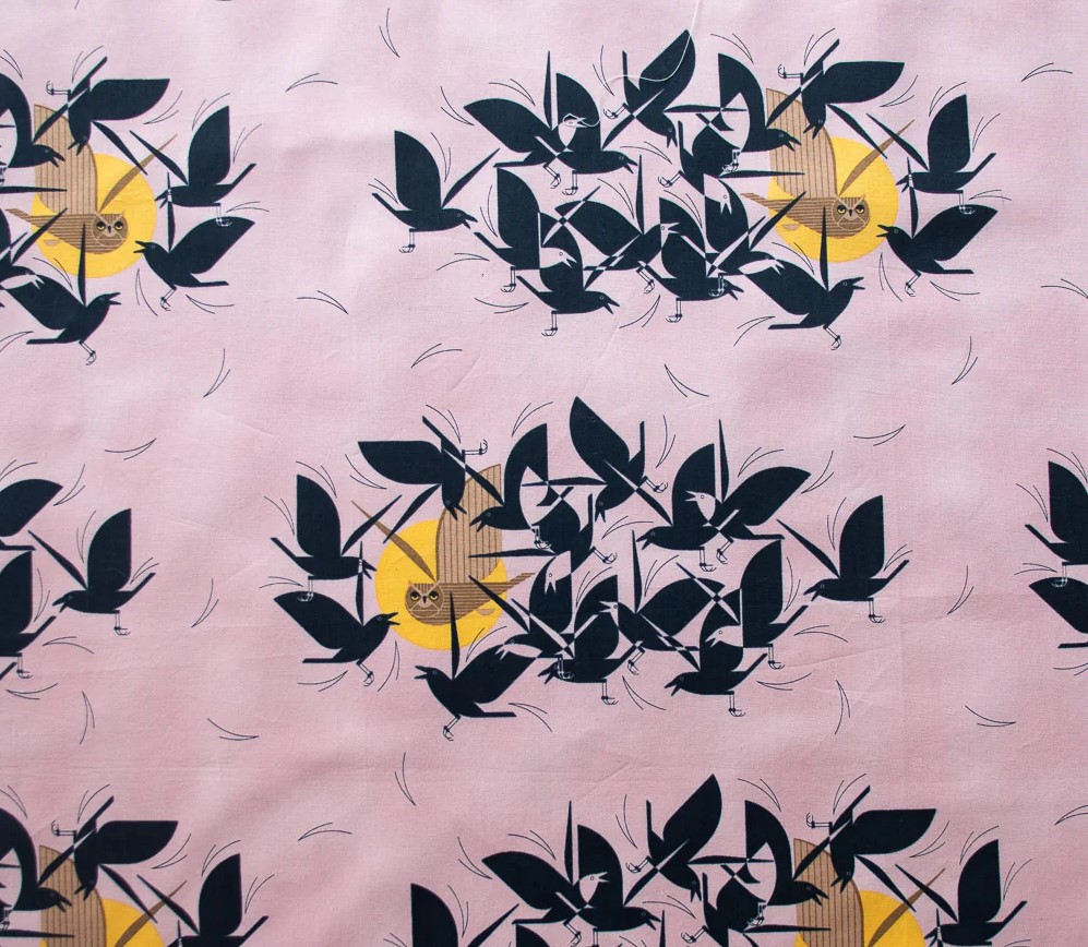Owltercation- Iconic Poplin Collection