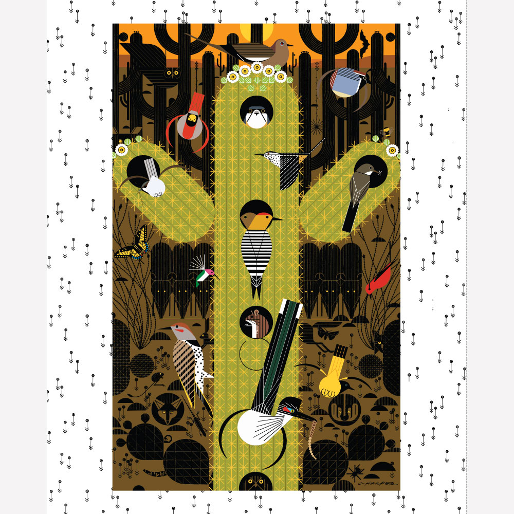 Desert Collection Large Poster Panel